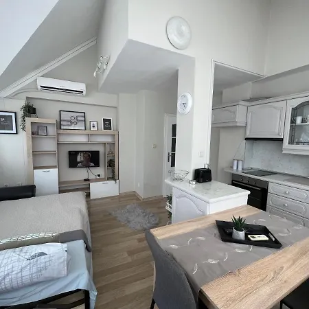 център с паркинг за нормална до средно голяма кола Apartment *